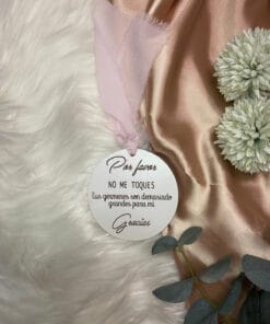 Alternative view of Placa carro bebe