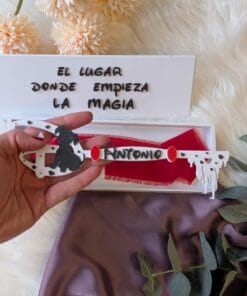 Llave Disney